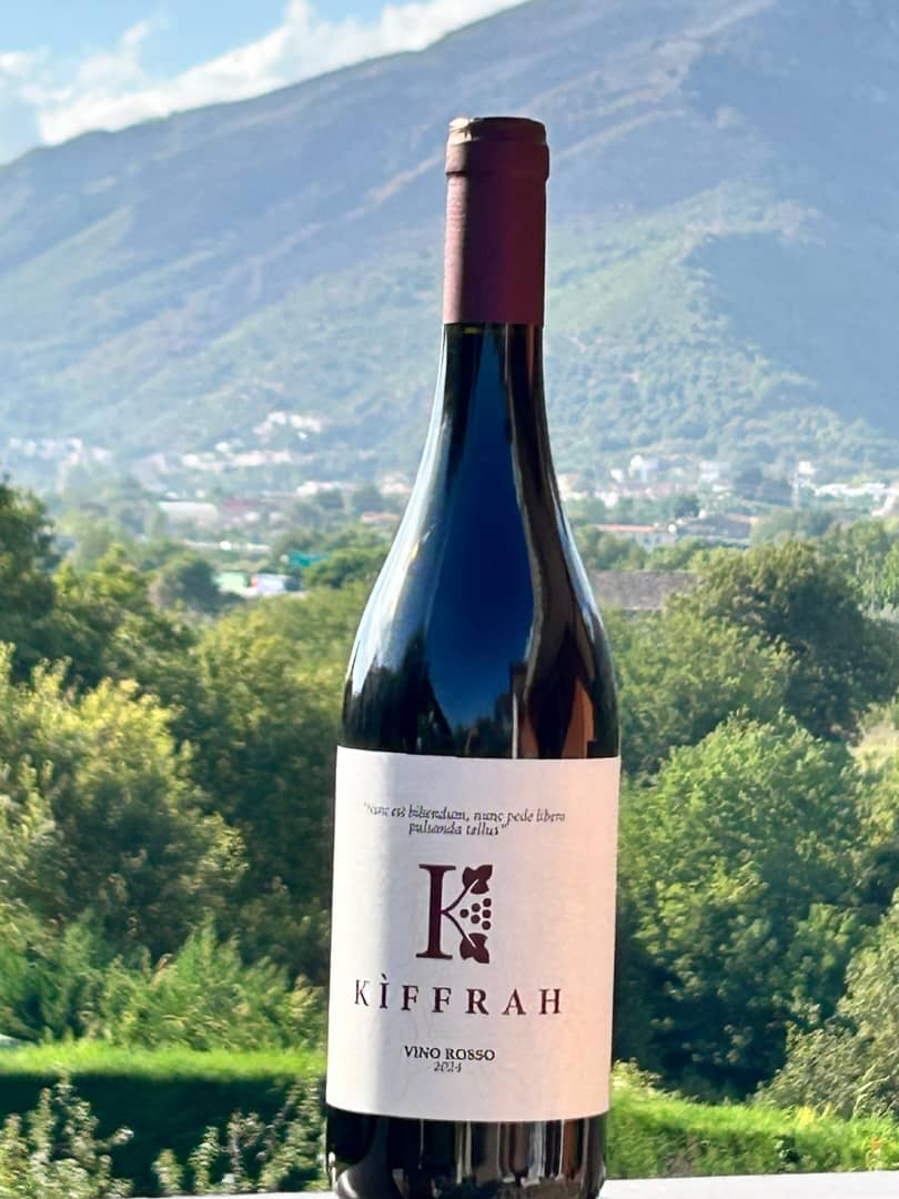 Vino Rosso 2024 — Elegance in a Bottle